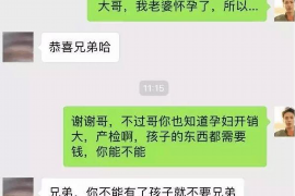 南开为什么选择专业追讨公司来处理您的债务纠纷？